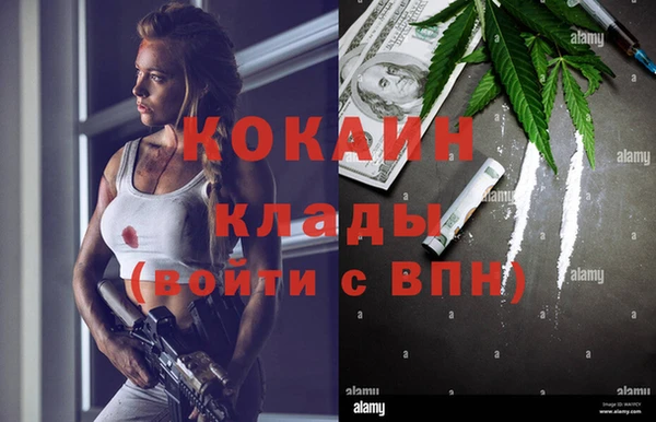 spice Болотное