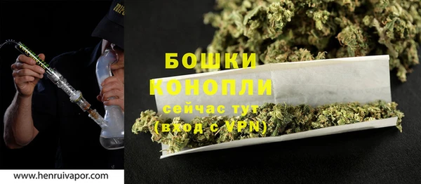 дживик Вязьма